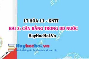 Thuyết Acid Base của Bronsted Lowry, khái niệm Acid-Base, pH và ý nghĩa của pH trong thực tiễn? Hóa 11 bài 2 KNTT
